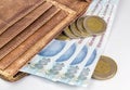 100 Turkish Lira. hundred turkish lira and coins with a essential wallet Royalty Free Stock Photo