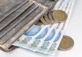 100 Turkish Lira. hundred turkish lira with a essential wallet Royalty Free Stock Photo