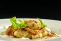Turkish Manti closeup Royalty Free Stock Photo