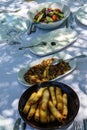 Turkish mezes appetizers Royalty Free Stock Photo