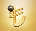 Turkish money currency appreciation. Gold Turkish Lira icon with Black increasing arrow 3d illustration