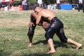 Turkish Oily Wrestling Royalty Free Stock Photo