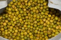Turkish olives different mix for sale in Grand Bazaar, Egyptian outdoor market. Fresh produce Royalty Free Stock Photo