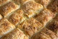 Turkish pastry, borek with cheese Royalty Free Stock Photo