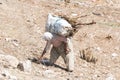 Turkish peasant woman collecting firewood