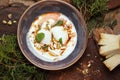 Turkish poached eggs or Cilbir on a bed of light yoghurt topped with chilli oil, pistachios and mint leaves. Royalty Free Stock Photo