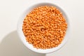 Turkish Red Lentil legume. Top view of grains in a bowl. White b Royalty Free Stock Photo