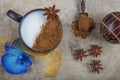 Turkish Salep or Sahlep with cinnamon sticks / Christmas Eggnog. Served with cinnamon sticks and orchid flower