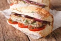 Turkish sandwich balik ekmek close-up. horizontal Royalty Free Stock Photo