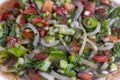 Turkish Shepards Salad with cucumber, tomato, red onion, pepper, parsley Turkish name; kasik salata Royalty Free Stock Photo