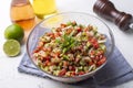 Turkish Shepards Salad with cucumber, tomato, red onion, pepper, parsley (Turkish name kasik salata Royalty Free Stock Photo