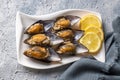 Turkish Street Food Stuffed Mussels with Lemon - Midye Dolma Royalty Free Stock Photo