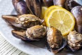 Turkish Street Food Stuffed Mussels with Lemon - Midye Dolma Royalty Free Stock Photo