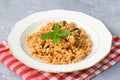 Turkish Stuffed Rice with Currants for Preparing Dolma in Plate with Spoon . Pilav or Pilaf. Traditional Food. Ready to Eat. Royalty Free Stock Photo