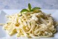 Turkish style cheese pasta Turkish name; Peynirli eriste makarna Royalty Free Stock Photo