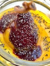 Turkish Style Custard Pudding Dessert with Safflower, Pear, Salep / Sahlep and Poppy Seeds in Jar