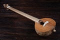 Turkish tambur. Long-necked folk string instrument of the lute family