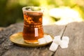 Turkish tea Royalty Free Stock Photo