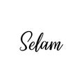 Turkish text: Hello. Lettering. Ink illustration. Modern brush calligraphy. Selam Royalty Free Stock Photo