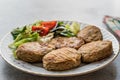 Turkish traditional Food kadinbudu kofte meatball rice and meat falafel. Royalty Free Stock Photo