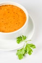 Turkish Traditional Tarhana Soup Royalty Free Stock Photo