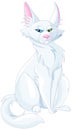 Turkish Van Cat. Turkish Angora Cat