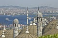 Turkish view on Bosporus. Royalty Free Stock Photo