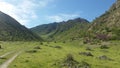 Turkmen mountains in the spring