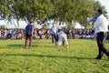 Turkmen wrestling in Istanbul Royalty Free Stock Photo