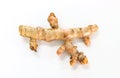 Turmeric white background in studio Royalty Free Stock Photo