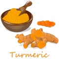 Turmeric Curcuma longa Linn powder and root on white background vector illustration