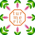 Turmeric, curcuma. Plant with a flower. Package design
