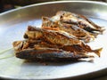 Turmeric fried mackerel