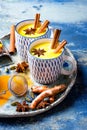 Turmeric golden milk latte with cinnamon sticks and honey. Detox, immune boosting, anti inflammatory healthy cozy drink. Royalty Free Stock Photo
