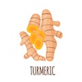 Turmeric icon in flat style isolated on white