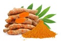 Turmeric and leaf isolated on white background Royalty Free Stock Photo