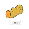 Turmeric line vector illustration, cooking isolated icon.