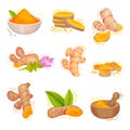 Turmeric Plant with Root and Powder in Bowl Vector Set