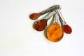 Turmeric Powder, Cayenne Pepper, Paprika and Cinnamon in Measuring spoons