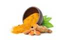 Turmeric powder with rhizome