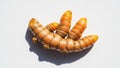Turmeric root (Curcuma longa) on a white background shows a segmented, finger-like structure with a Royalty Free Stock Photo
