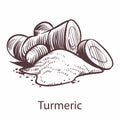 Turmeric root icon. Botanical sketch for labels and packages in engraving style. Aromatherapy antioxidant ginger