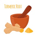 Turmeric root, pestle, mortar. Herbal spice. Cartoon flat style. Vector