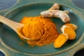 Turmeric root and powder Royalty Free Stock Photo