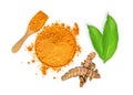 Turmeric root and turmeric powder in wooden bowl and spoon