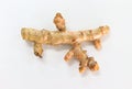 Turmeric white background in studio Royalty Free Stock Photo
