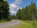 Turn left on a forest asphalt road along green pines under a blue cloudy sky. place of rest, tourism, picnic Royalty Free Stock Photo