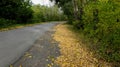 The turn of the road autumn woods the fallen leaves along the roadside. Royalty Free Stock Photo