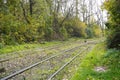 Turn the tram rails in the green zone. autumn forest in the city, a beautiful path Royalty Free Stock Photo