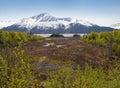 Turnagain Arm landscape Royalty Free Stock Photo